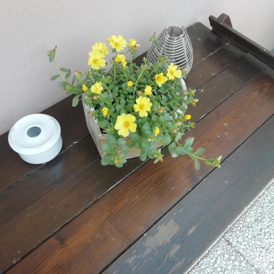 A&G Apartment Zanica Kültér fotó